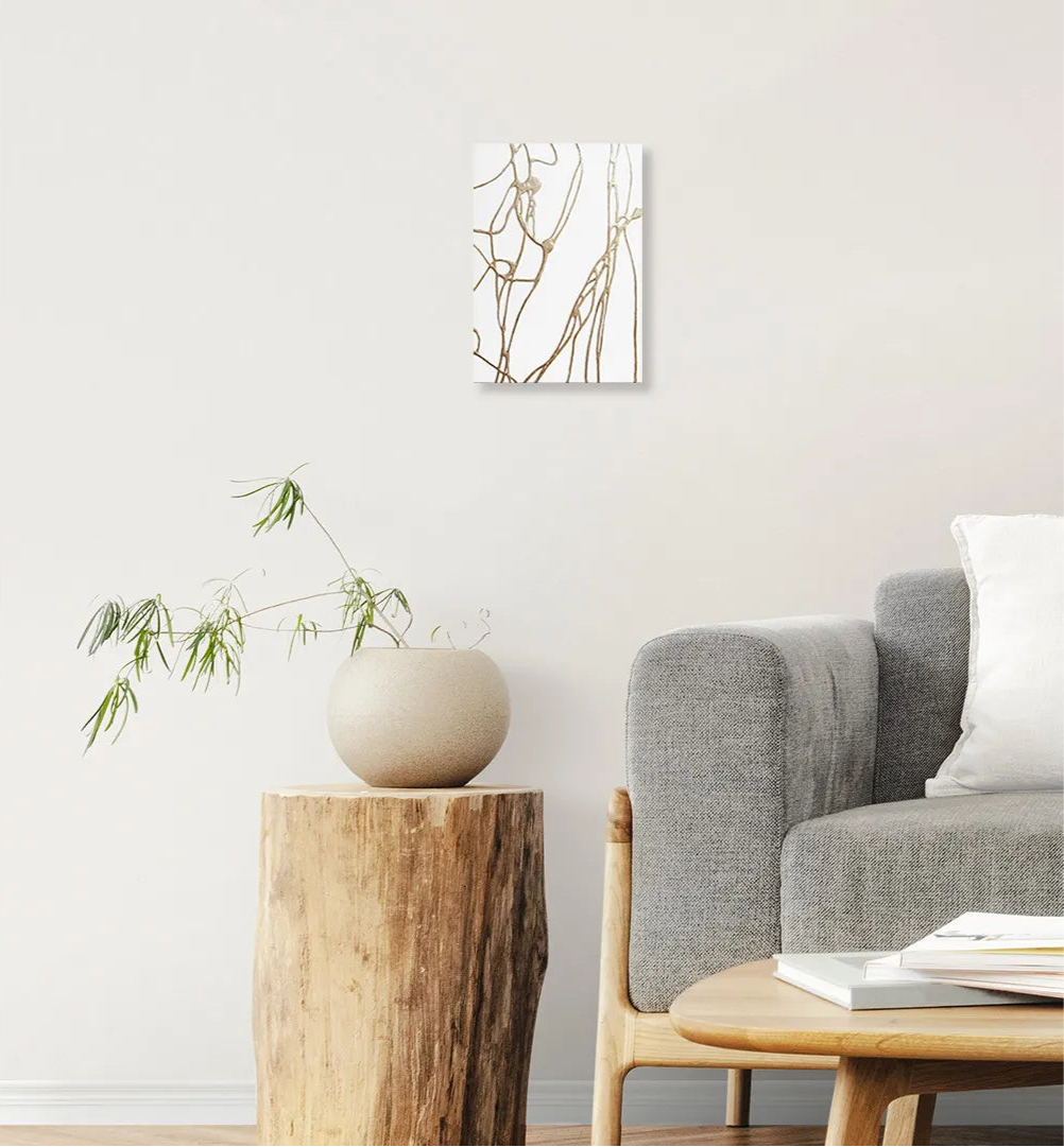 MT-Line 【Petite fleur-Tulip】